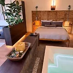 Loft Architecte Exceptionnel Avec Mini Piscine Design * メス