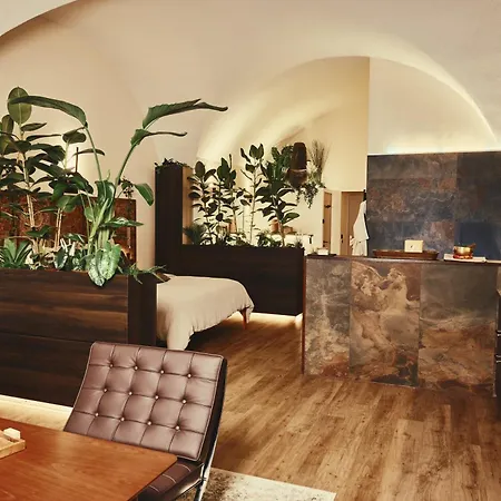 Loft Architecte Exceptionnel Avec Mini Piscine Design アパート *