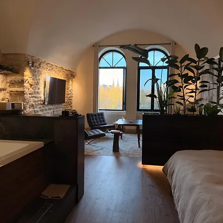 Loft Architecte Exceptionnel Avec Mini Piscine Design Apartmán