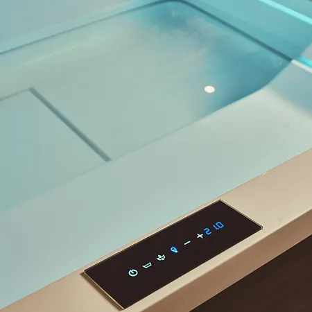 Apartment Loft Architecte Exceptionnel Avec Mini Piscine Design Metz