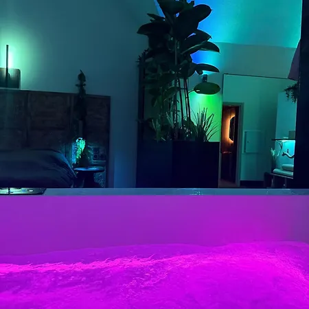 Loft Architecte Exceptionnel Avec Mini Piscine Design