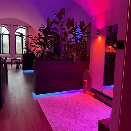 Loft Architecte Exceptionnel Avec Mini Piscine Design *