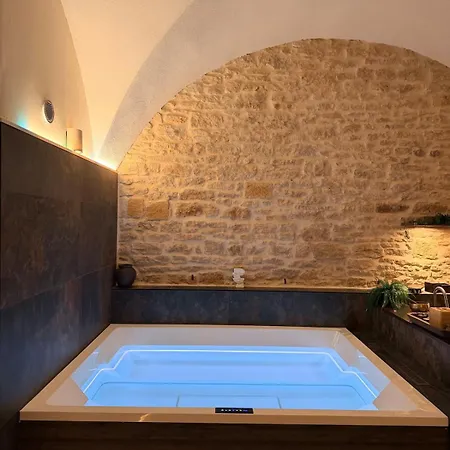 Loft Architecte Exceptionnel Avec Mini Piscine Design Metz