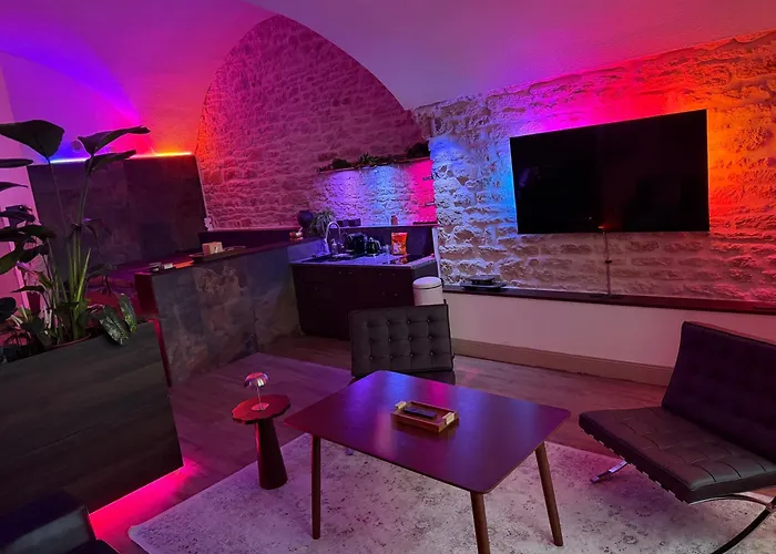 Loft Architecte Exceptionnel Avec Mini Piscine Design *