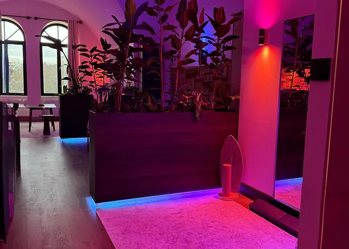 Loft Architecte Exceptionnel Avec Mini Piscine Design *