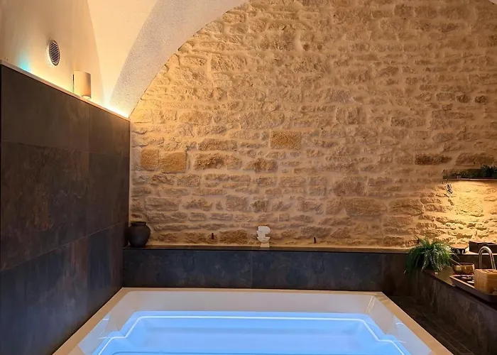 Loft Architecte Exceptionnel Avec Mini Piscine Design Mety